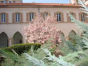 Couvent du Saint Nom de Jésus à Lyon